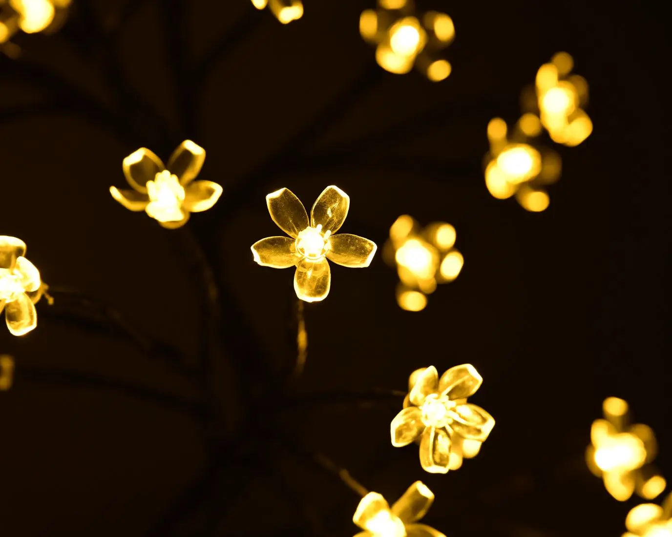 Charming Cherry Blossom Tree